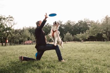 Mann spielt mit Hund auf der Wiese