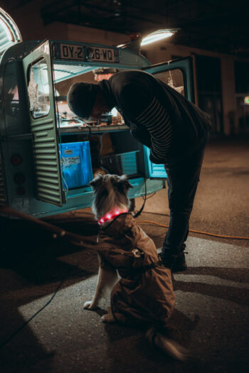 Eine Person mit einer Mütze beugt sich vor und schaut nachts in den Kofferraum eines Lieferwagens, während ein Hund mit Mantel und leuchtendem Halsband in der Nähe sitzt und aufmerksam beobachtet.